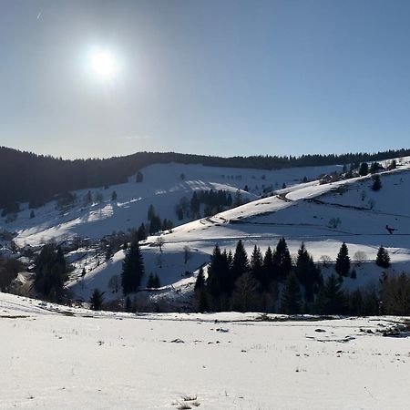 Haus Wiesenquelle, Deluxe-Apartment 'Feld & Berg' Feldberg  Eksteriør billede