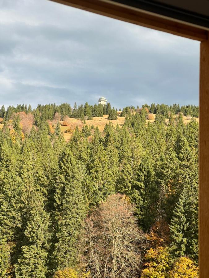 Haus Wiesenquelle, Deluxe-Apartment 'Feld & Berg' Feldberg  Eksteriør billede