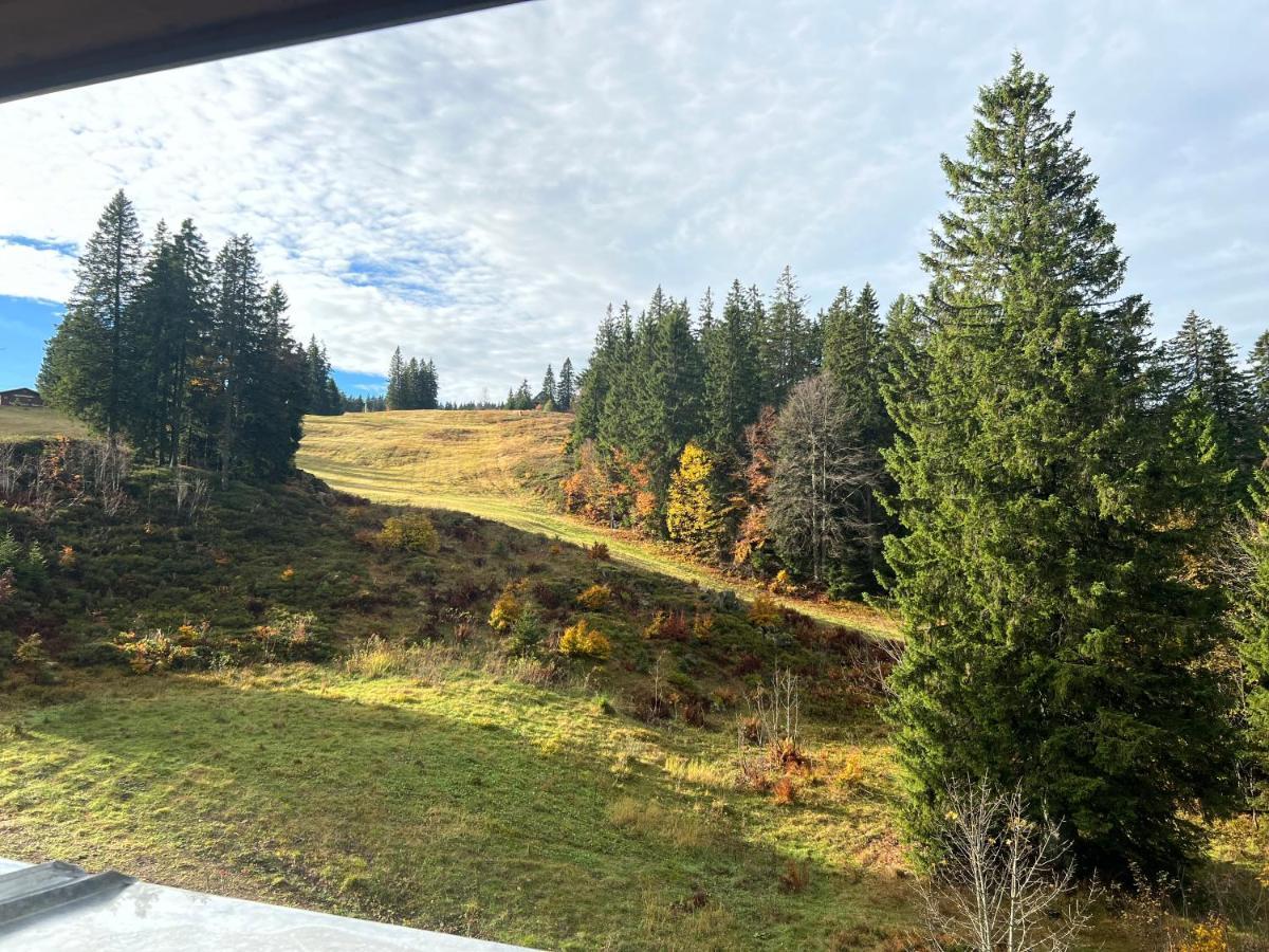 Haus Wiesenquelle, Deluxe-Apartment 'Feld & Berg' Feldberg  Eksteriør billede