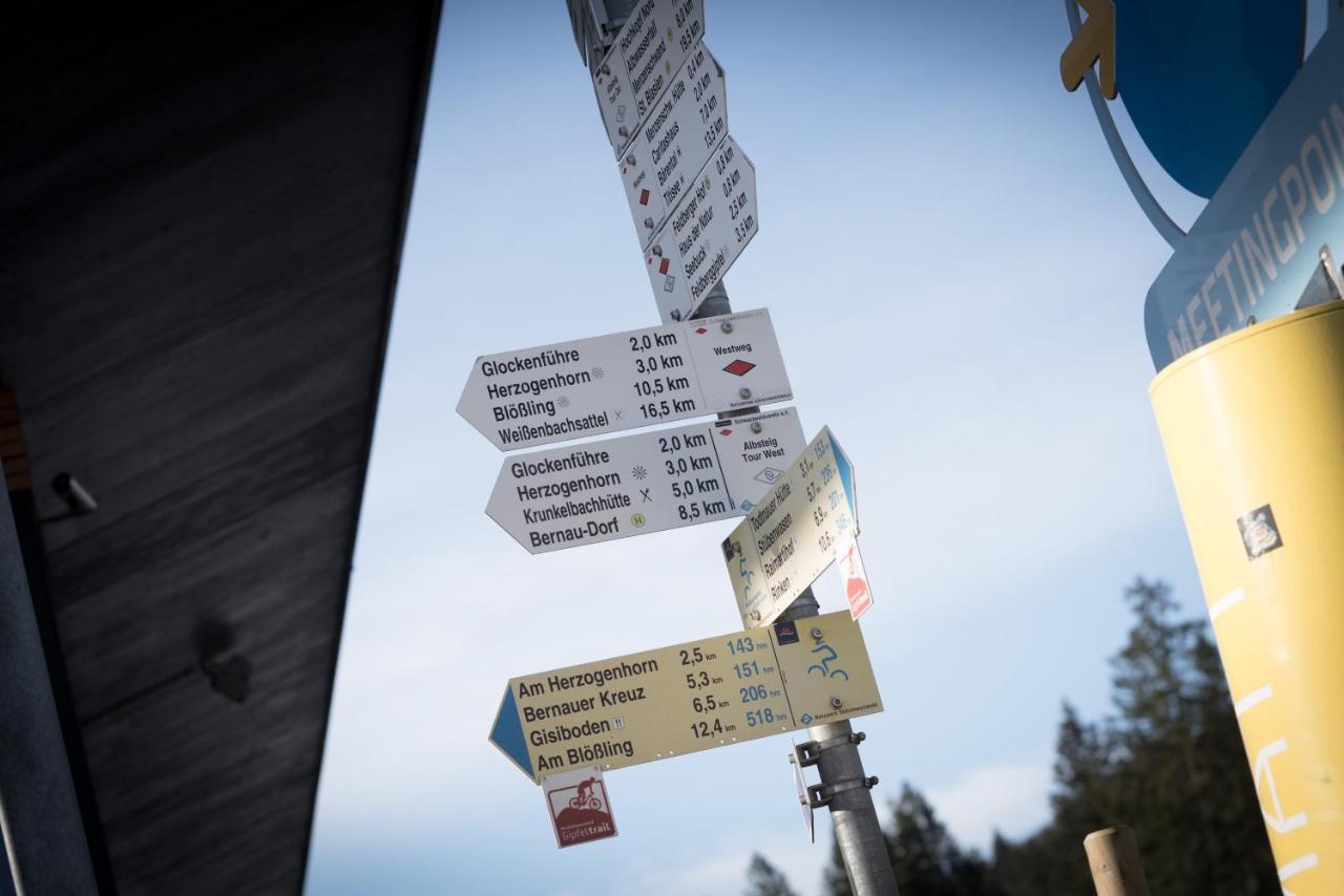 Haus Wiesenquelle, Deluxe-Apartment 'Feld & Berg' Feldberg  Eksteriør billede