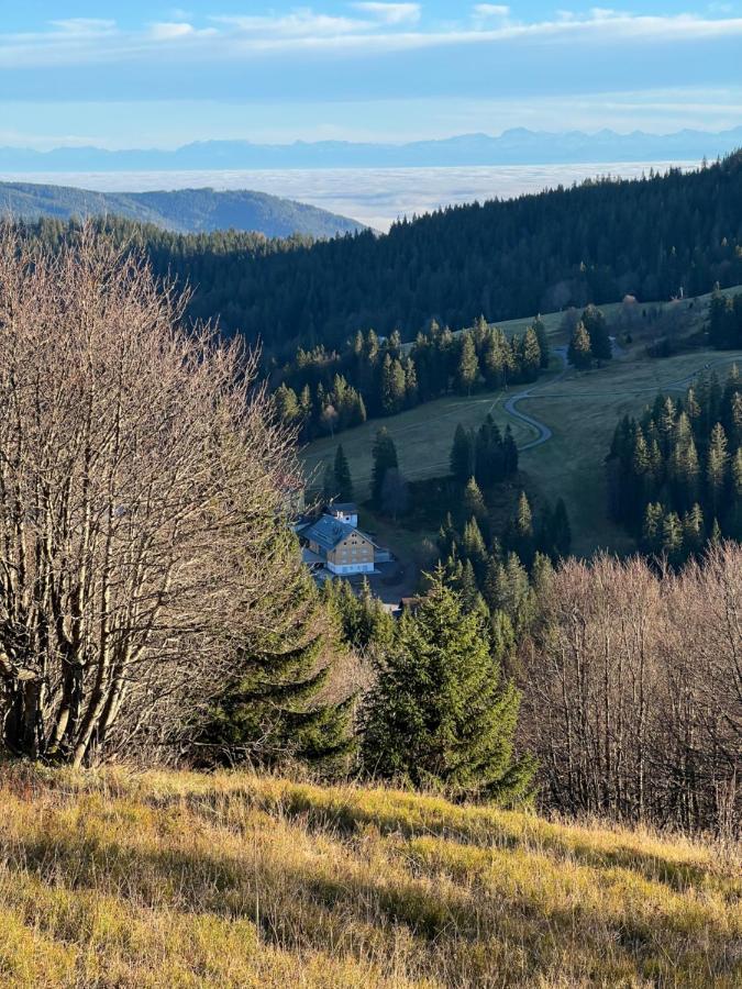 Haus Wiesenquelle, Deluxe-Apartment 'Feld & Berg' Feldberg  Eksteriør billede