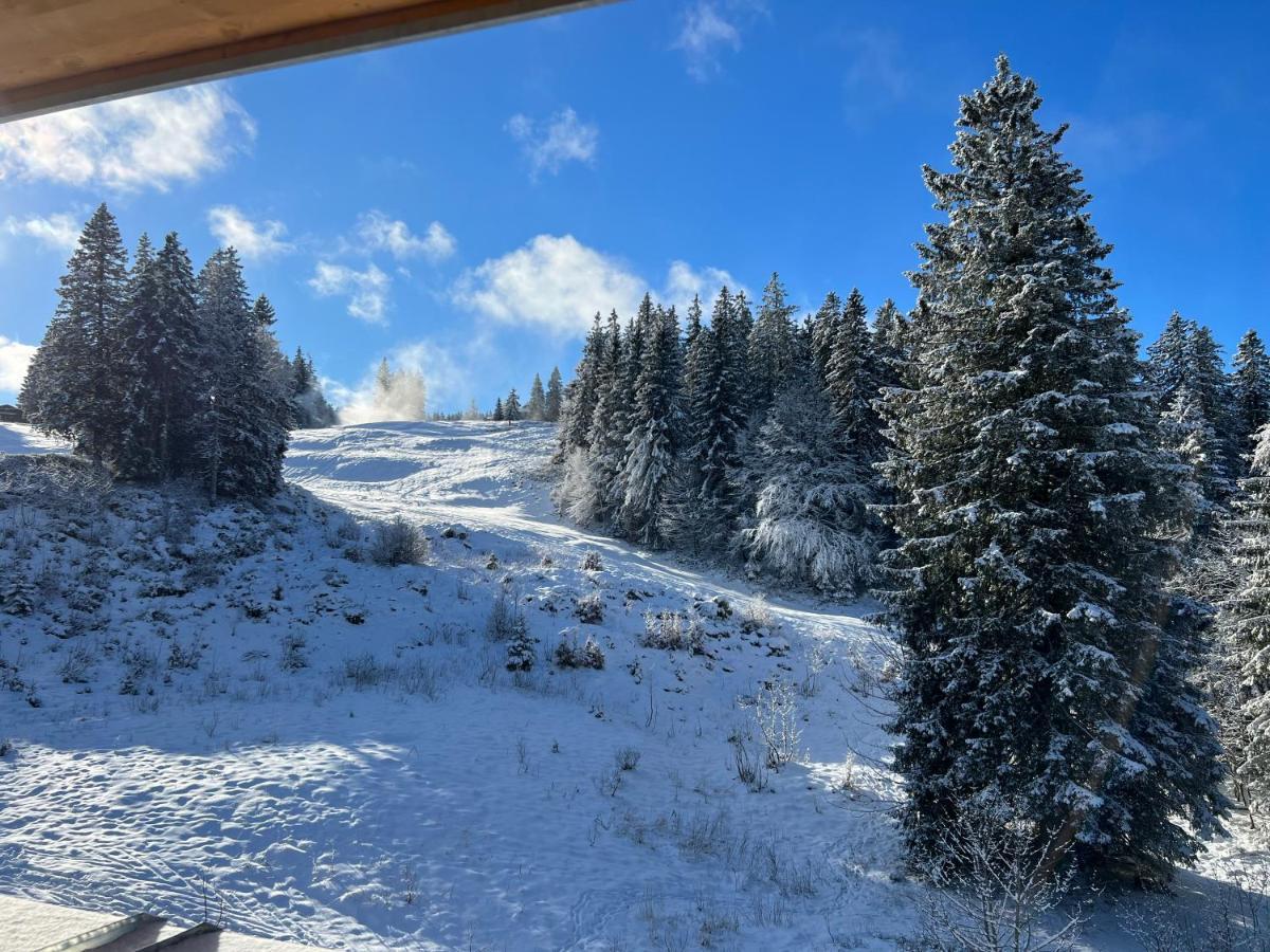 Haus Wiesenquelle, Deluxe-Apartment 'Feld & Berg' Feldberg  Eksteriør billede