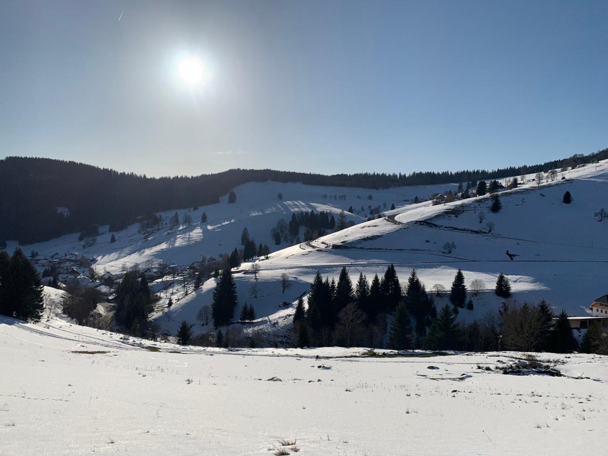 Haus Wiesenquelle, Deluxe-Apartment 'Feld & Berg' Feldberg  Eksteriør billede